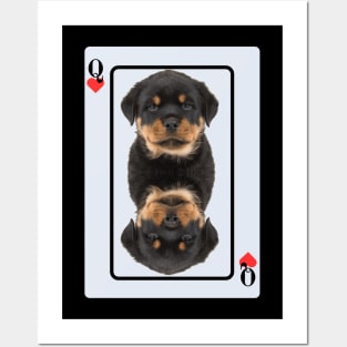 Rottweiler Puppy Posters and Art